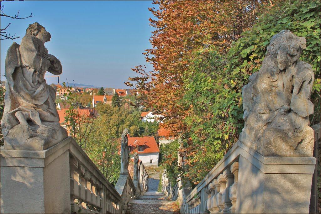 Karmelita Boutique Apartman Sopron Zewnętrze zdjęcie